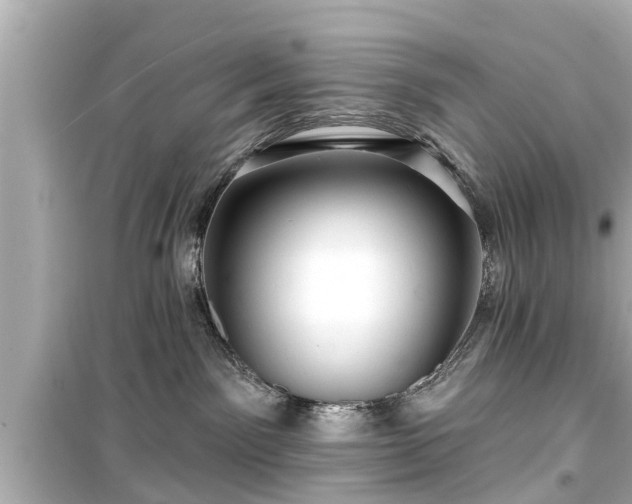X0000099500141200805221409