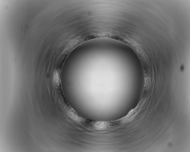 X0000099500142200805221409
