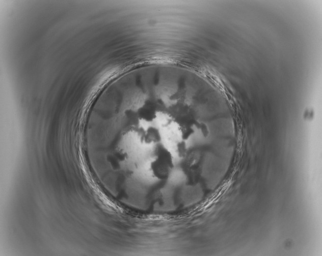 X0000099500145200805221408