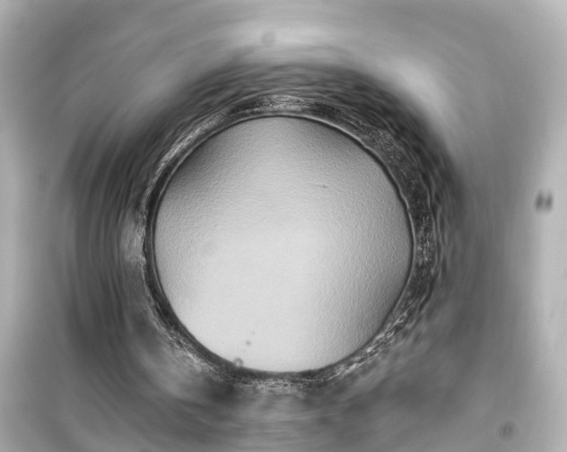 X0000099500146200805221408