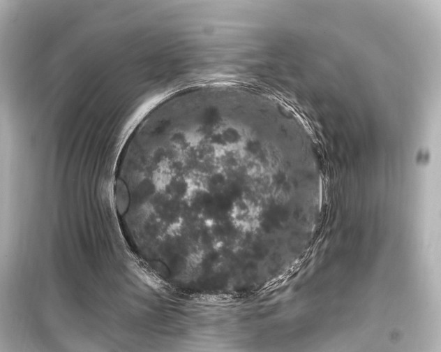 X0000099500147200805221408