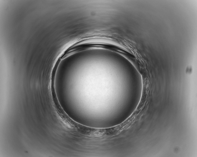 X0000099500148200805221408