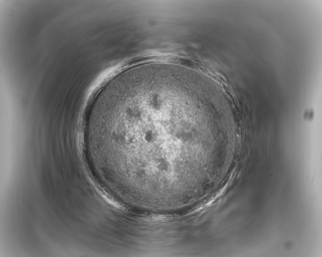 X0000099500149200805221408