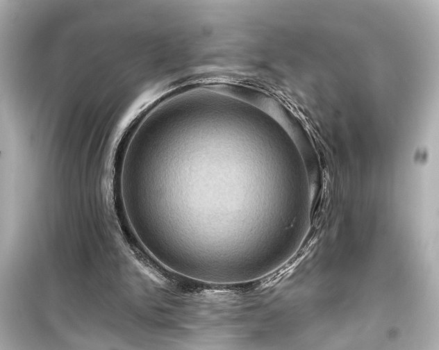 X0000099500150200805221408