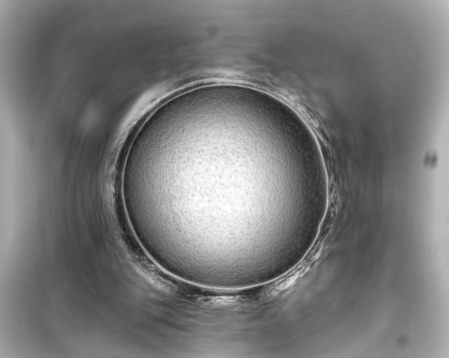 X0000099500151200805221408