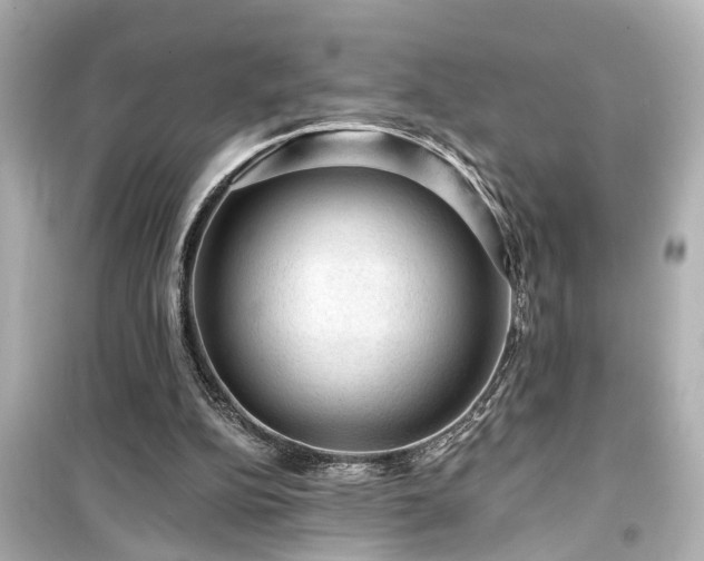 X0000099500152200805221408