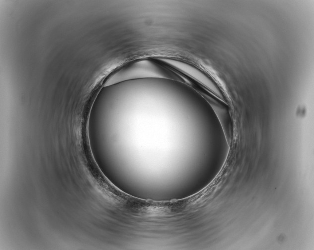 X0000099500154200805221408