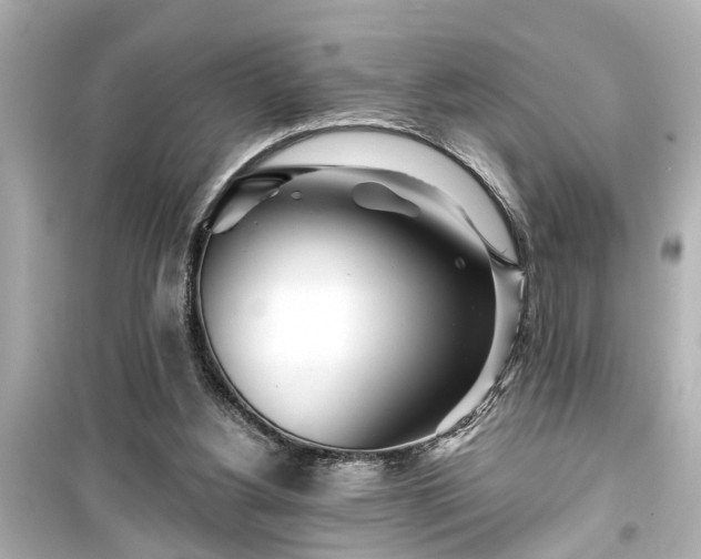 X0000099500156200805221408