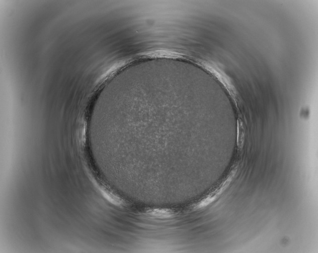 X0000099500157200805221408