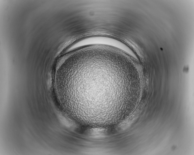 X0000099500158200805221408