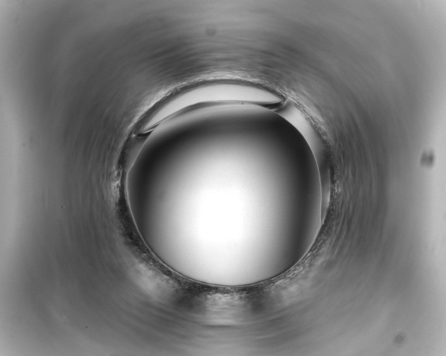 X0000099500160200805221408