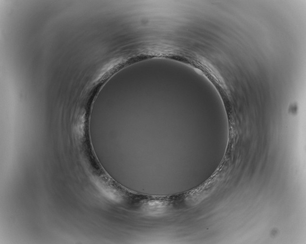 X0000099500163200805221408