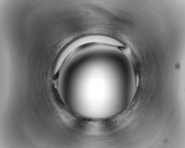 X0000099500164200805221408