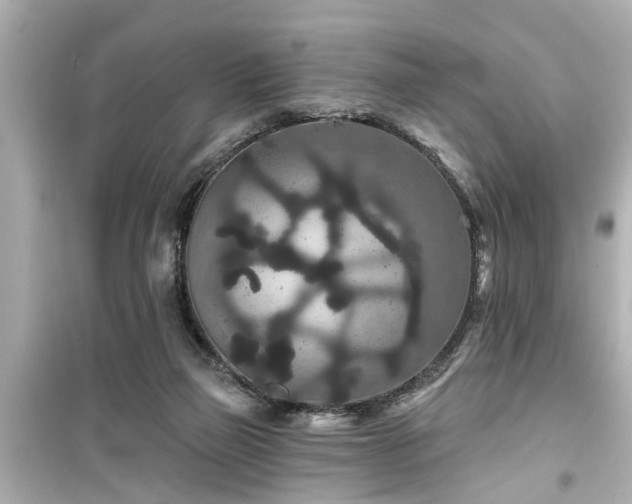 X0000099500165200805221408