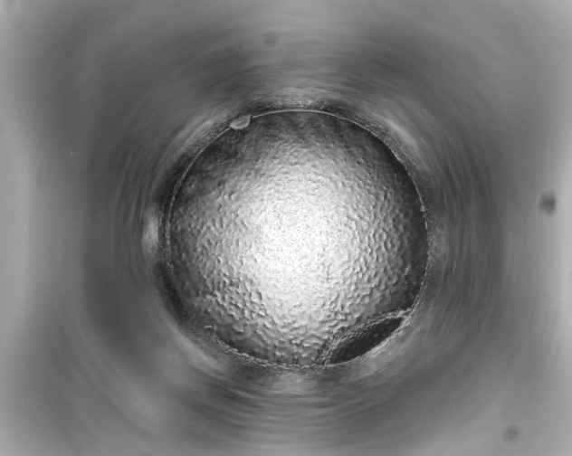 X0000099500166200805221408
