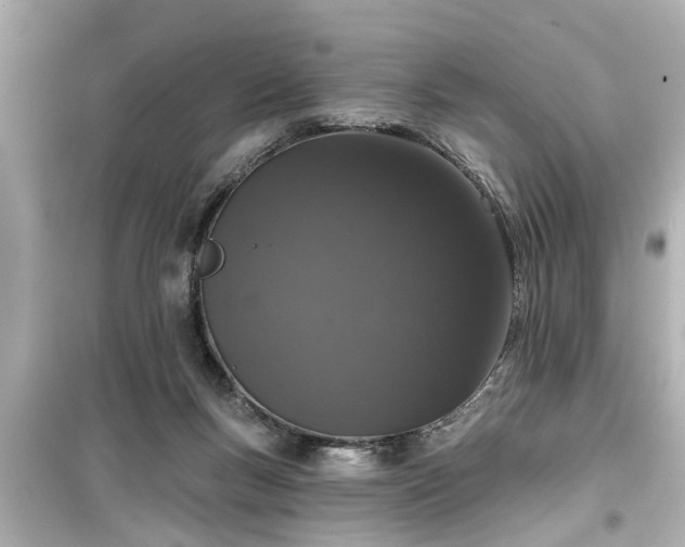 X0000099500167200805221408
