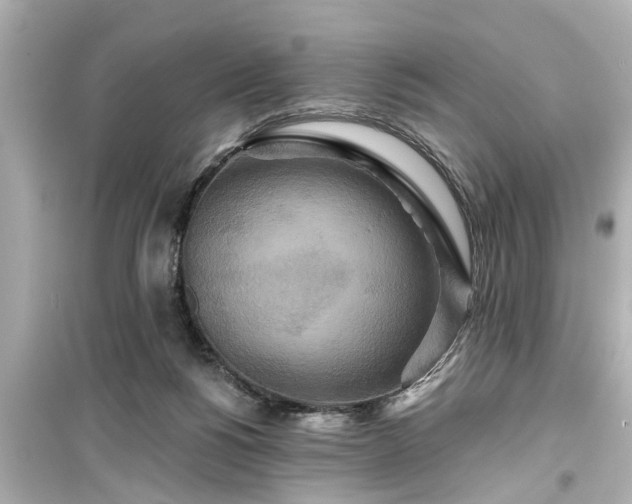 X0000099500168200805221408