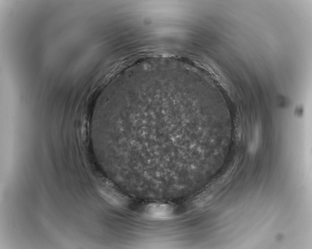 X0000099500169200805221408