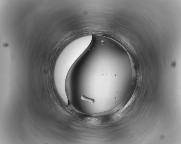 X0000099500170200805221408