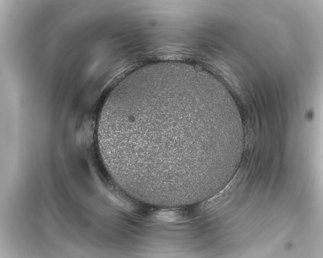 X0000099500171200805221408