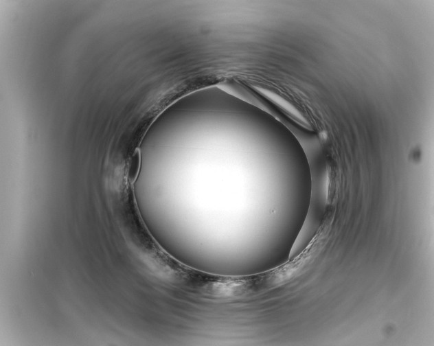 X0000099500172200805221408