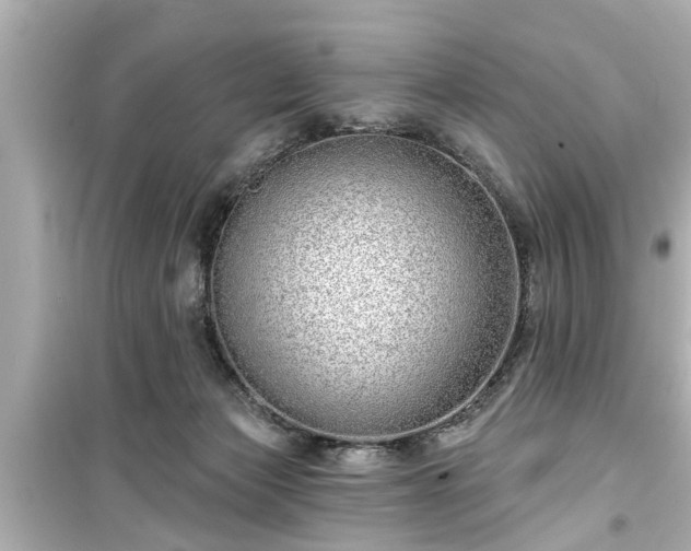 X0000099500173200805221408