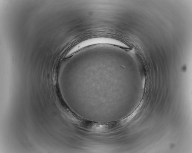 X0000099500174200805221408