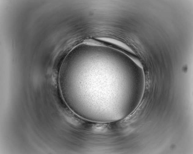 X0000099500175200805221408