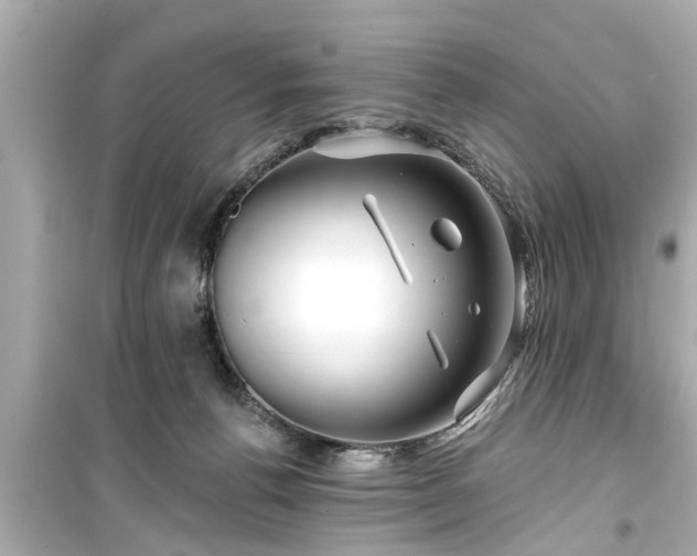X0000099500176200805221408