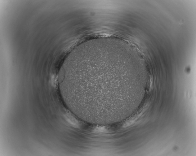 X0000099500177200805221408