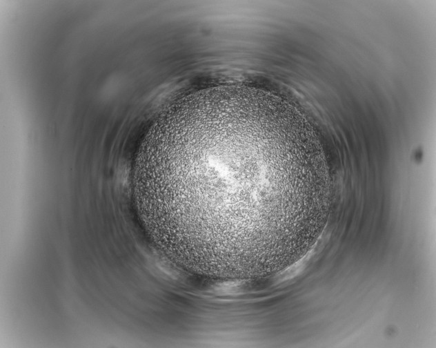 X0000099500178200805221409