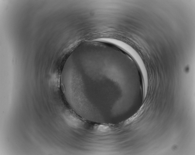 X0000099500180200805221409