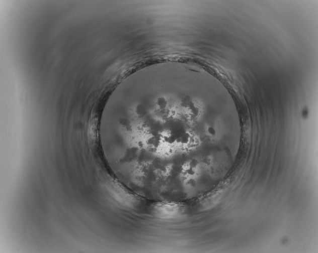 X0000099500181200805221409