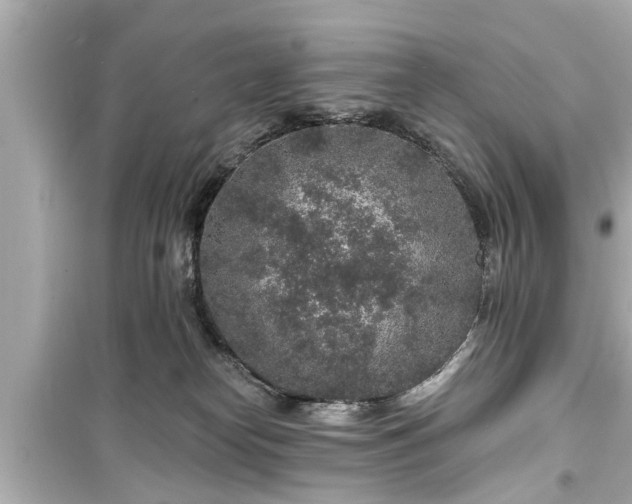 X0000099500182200805221409