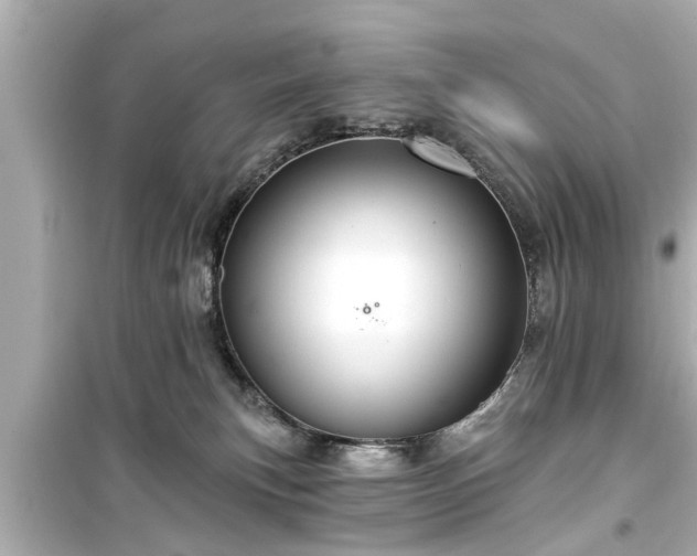 X0000099500183200805221409