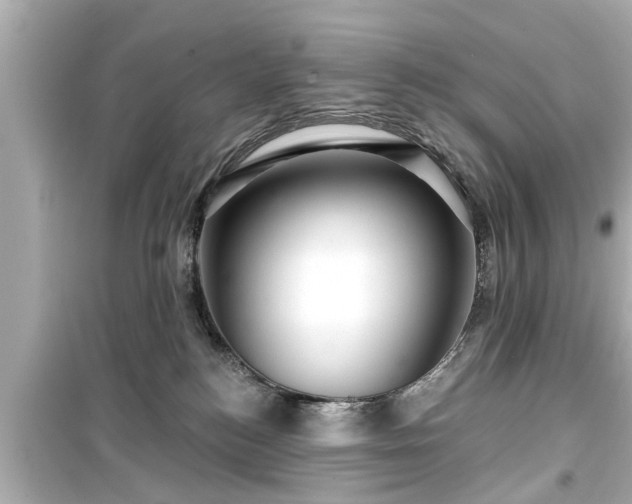 X0000099500184200805221409
