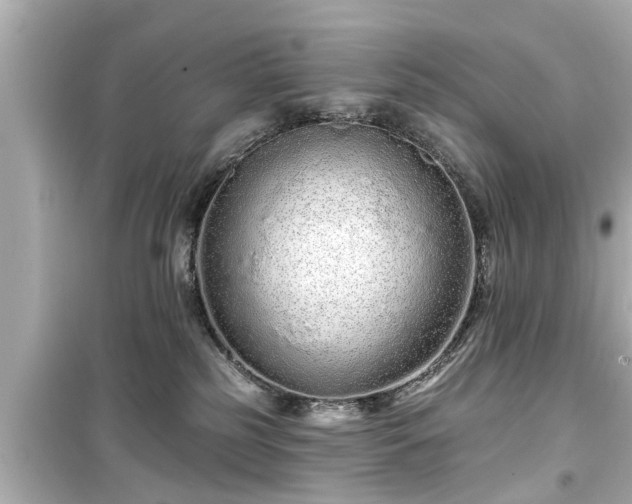 X0000099500185200805221409