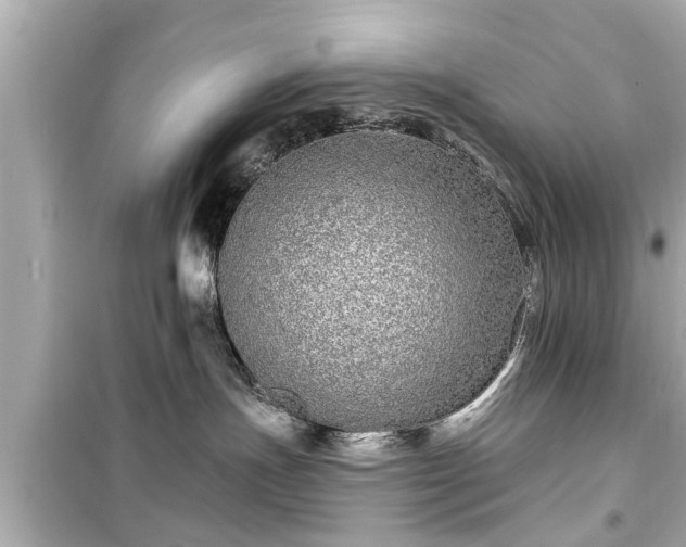 X0000099500191200805221409