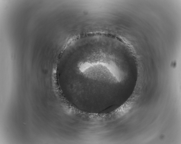 X0000099500192200805221409