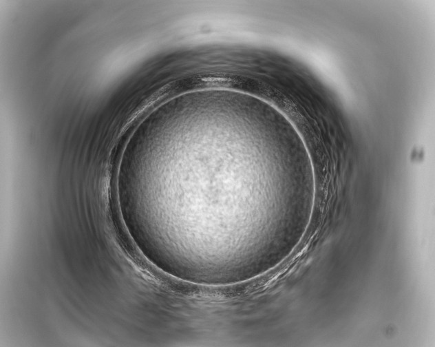 X0000099500194200805221408