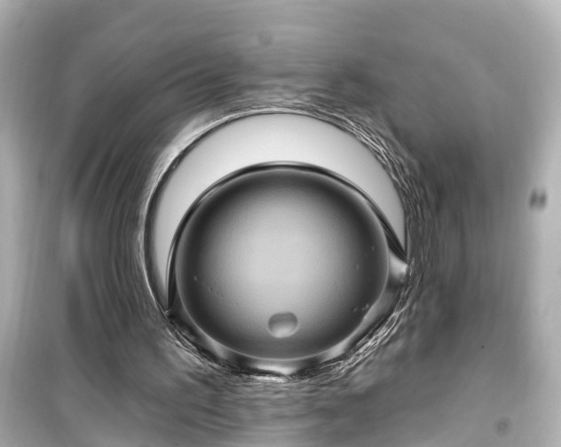 X0000099500195200805221408