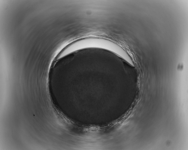 X0000099500196200805221408