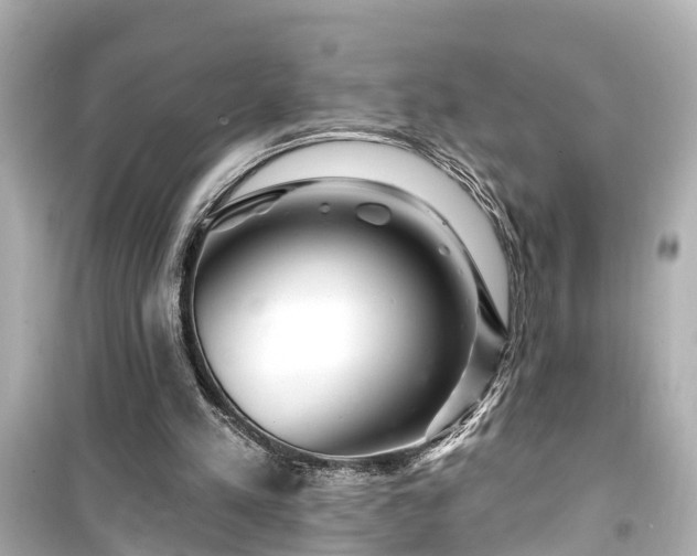 X0000099500197200805221408