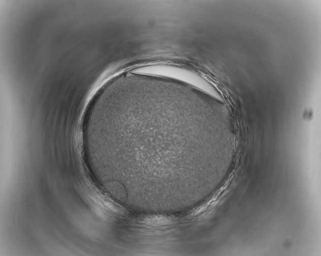 X0000099500198200805221408