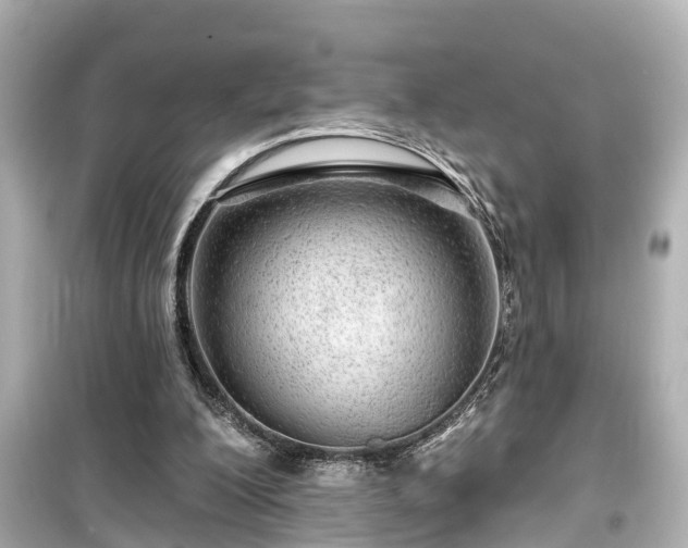 X0000099500200200805221408