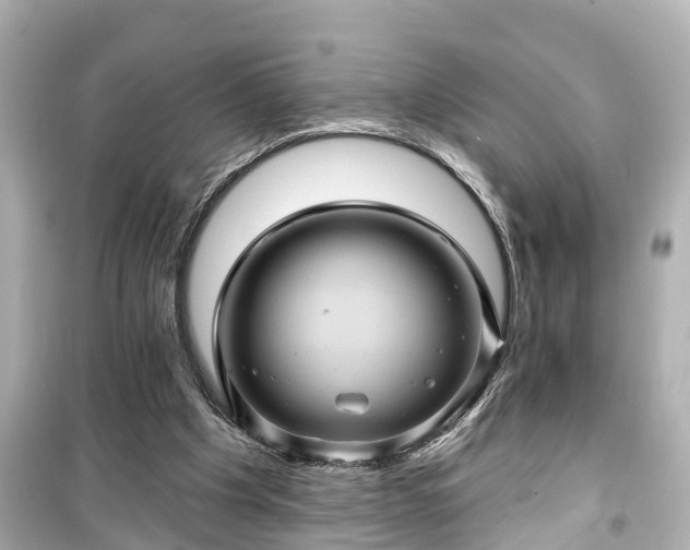 X0000099500201200805221408