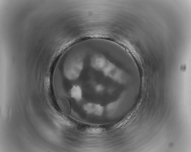 X0000099500202200805221408