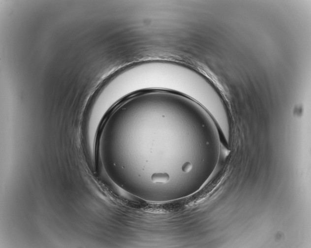 X0000099500203200805221408