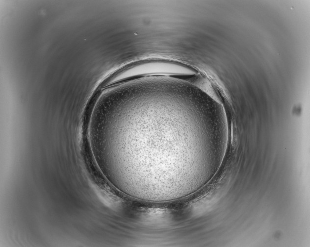 X0000099500204200805221408
