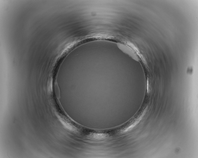 X0000099500205200805221408